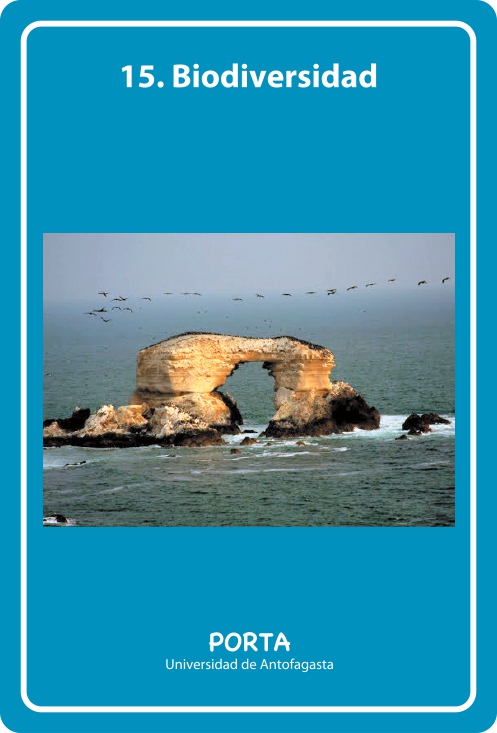Portada Frontal